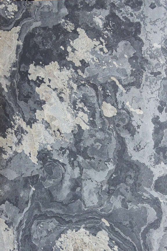 Stone Veneer Autumn Rustic